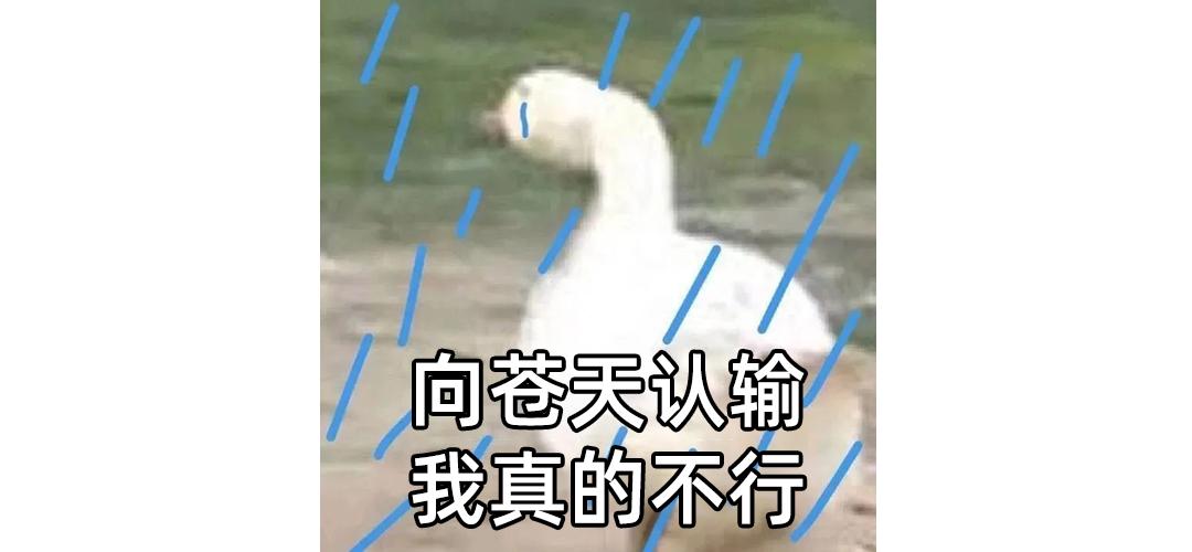 电费超700元？总被二房东坑？大多数人都不知道这些租房套路