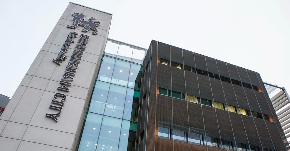 最火的商科专业,最受欢迎的商科专业