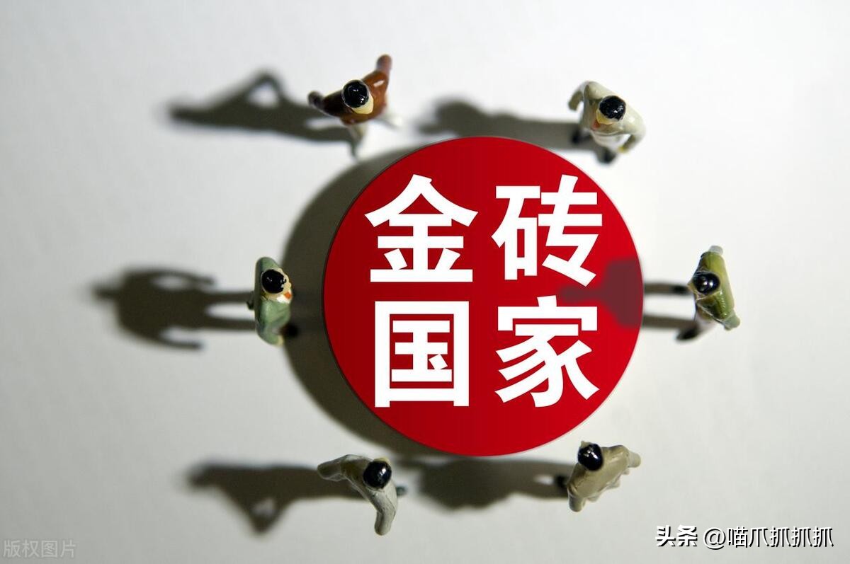 金砖国家共同的特点,金砖国家会议主题和新加入的国家