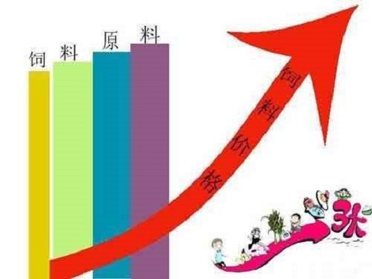 连降15周玉米豆粕价格持续上涨,玉米豆粕涨起来饲料价格还要涨吗