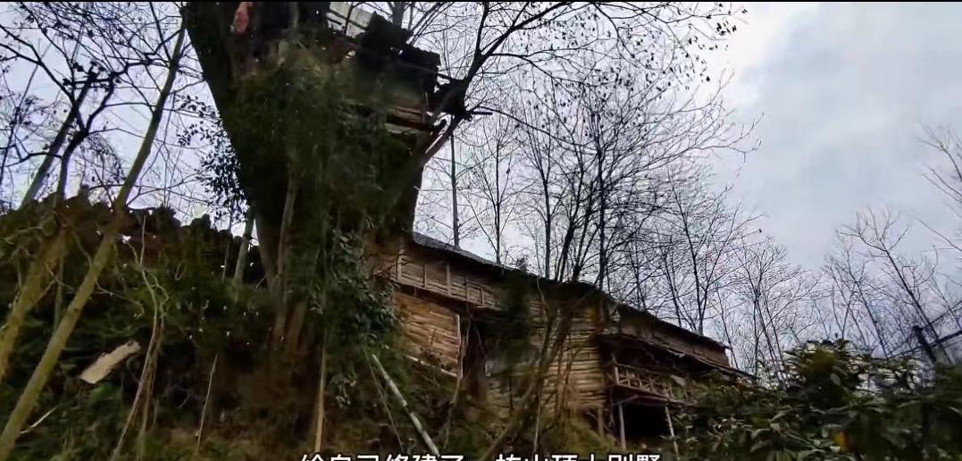 90后小伙回农场投资百万种果园,70后大叔创造奇迹种地赚100万