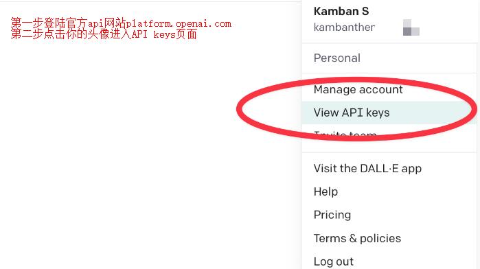 怎么用chatgpt写python代码,手机上用chatgpt写python代码