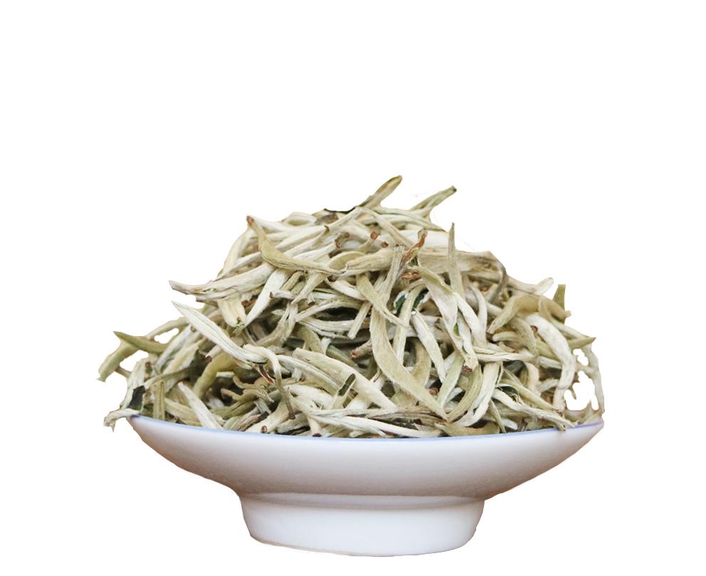 白茶为什么会返青,华源的白牡丹