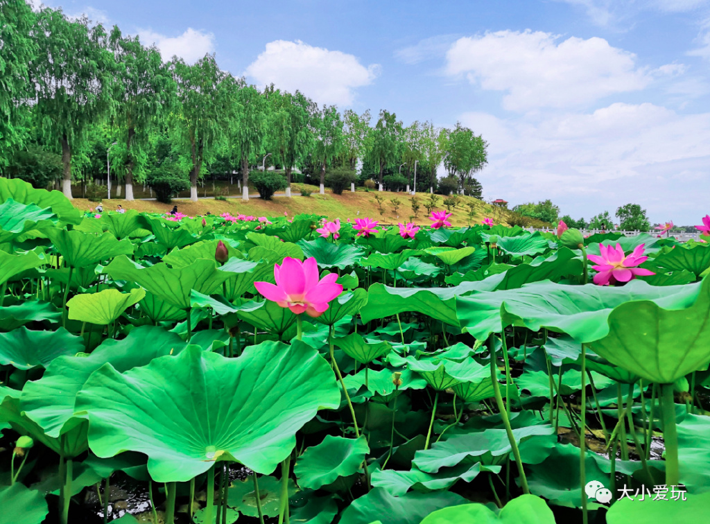 有很多很美的湖泊,这些绝美湖泊你去过几个