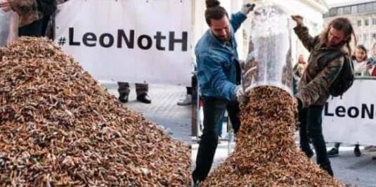 烟头真的可以回收利用吗,日本为何收购我国废烟头