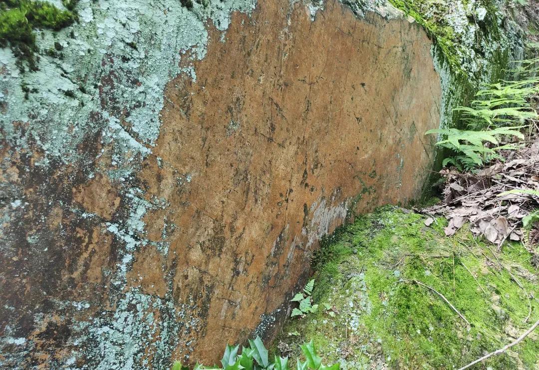 湖南宁乡道林镇,长沙市道林镇