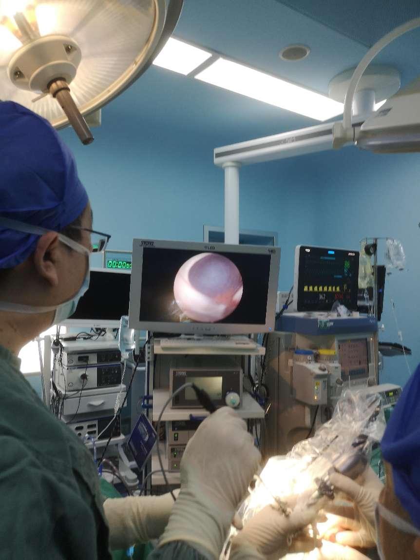 4岁男童体内有只米老鼠,2岁小孩脑门上起了2个小疙瘩照片