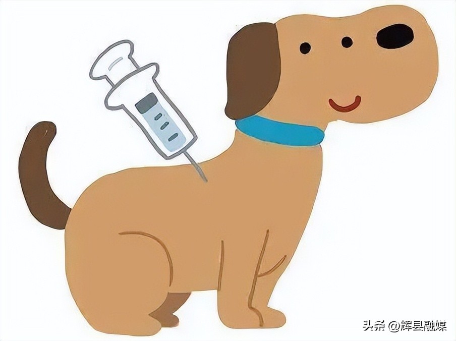 在户外如何预防被动物咬伤,假期意外伤害防治