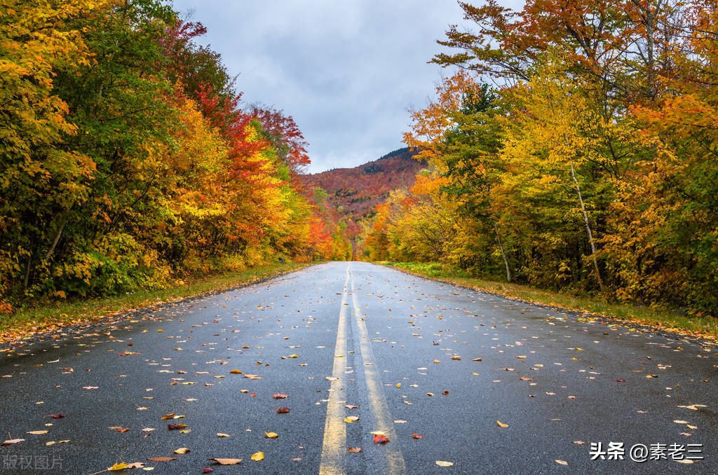 女作家去做保姆173,女作家去做保姆906