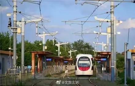 穿行在绿树和鲜花中，这辆开往春天的列车，你坐过了吗？