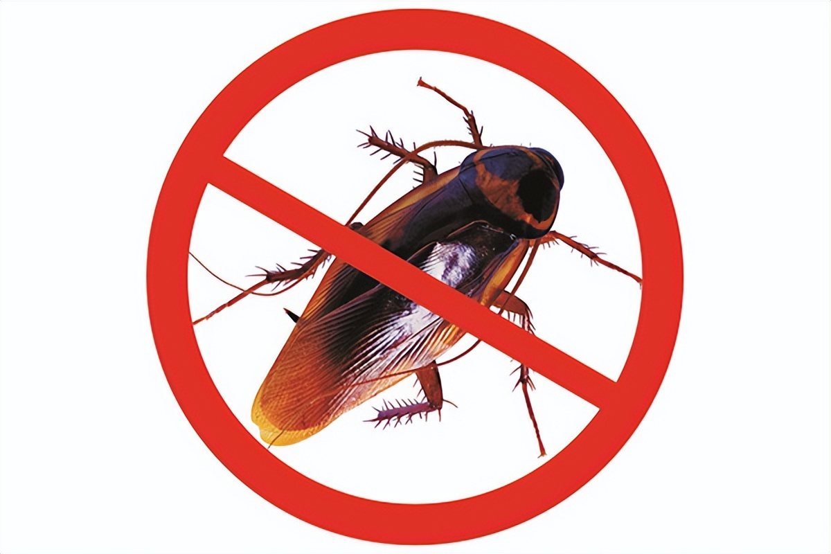 超市蟑螂灭治公司联系电话,超市点蚊蝇香能赶走蟑螂吗