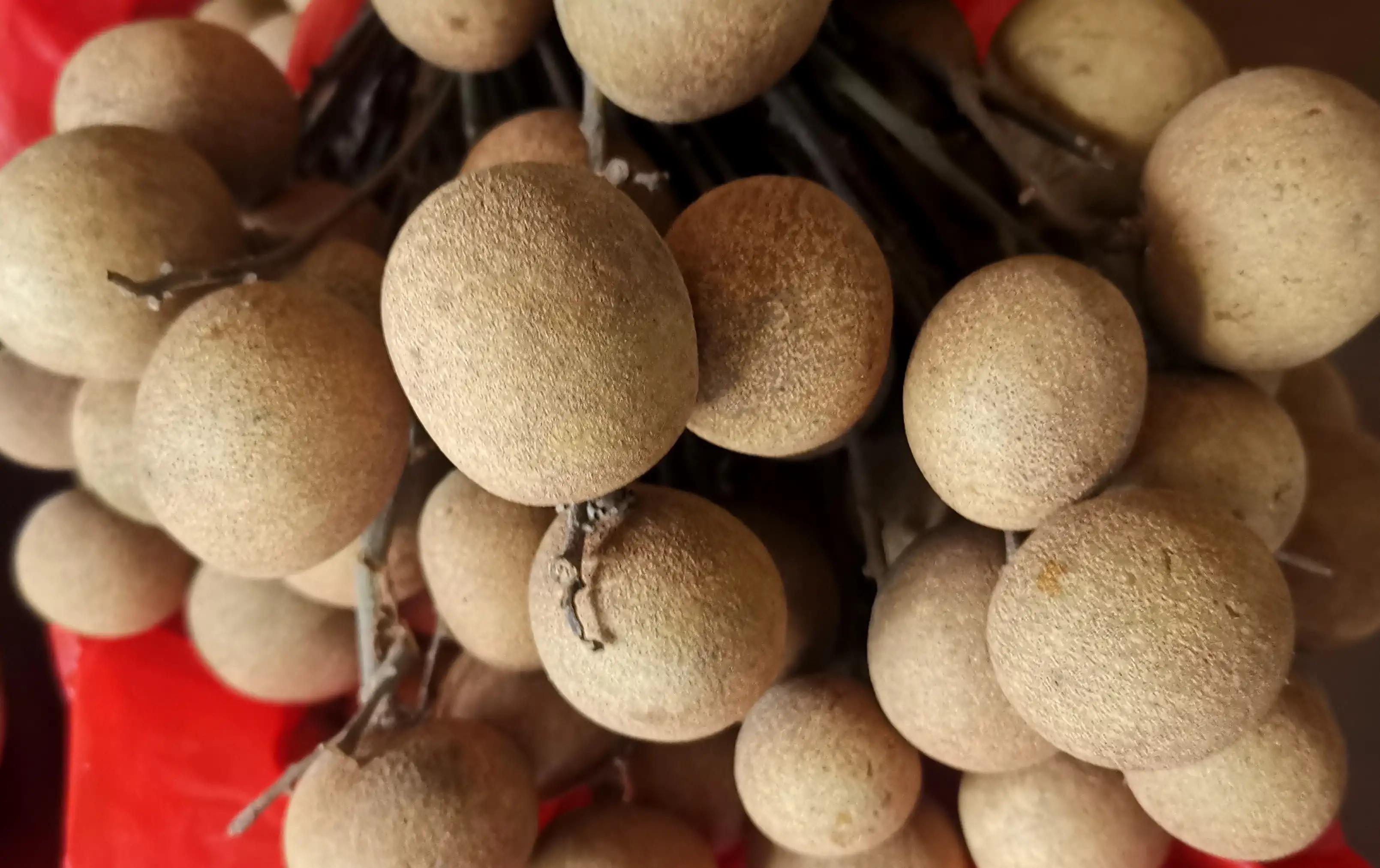 漳州市美丽的小镇,漳州长泰区旅游