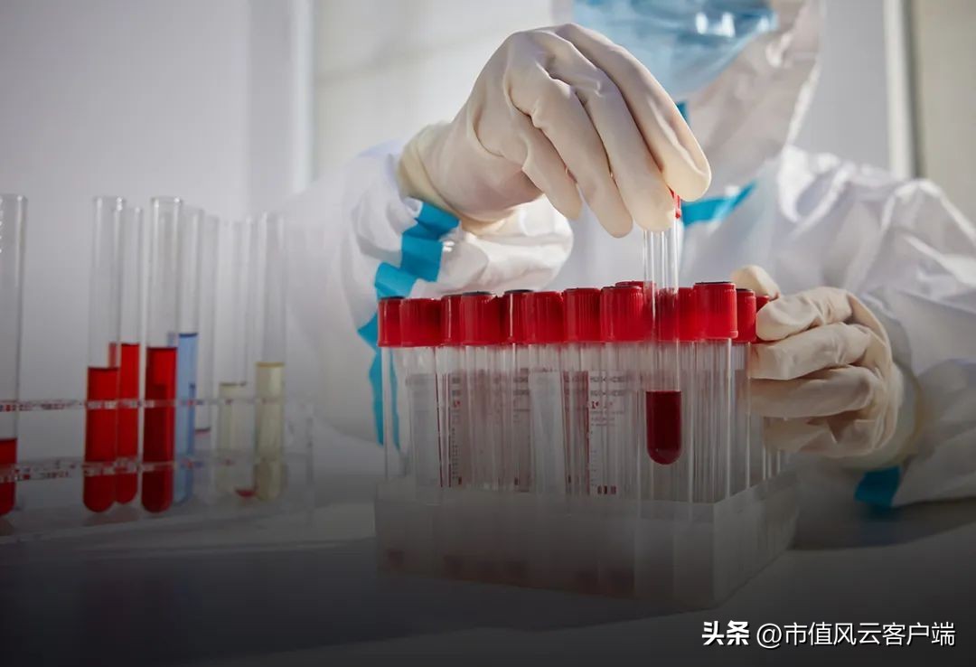 前五大股东集齐95、00后！核酸检测风口股达科为：本质就是中间商