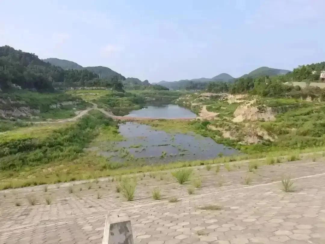 创业计划书格式,餐厅创业计划书