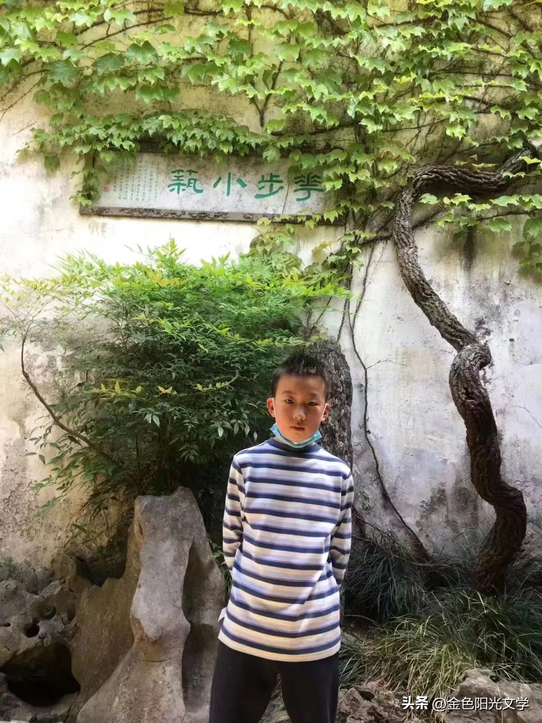 南阳周边游老君山,南阳恐龙遗迹园旅游攻略