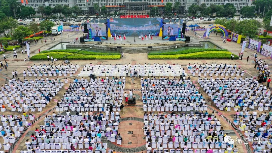 平果工业园招商引资,平果市招商引资