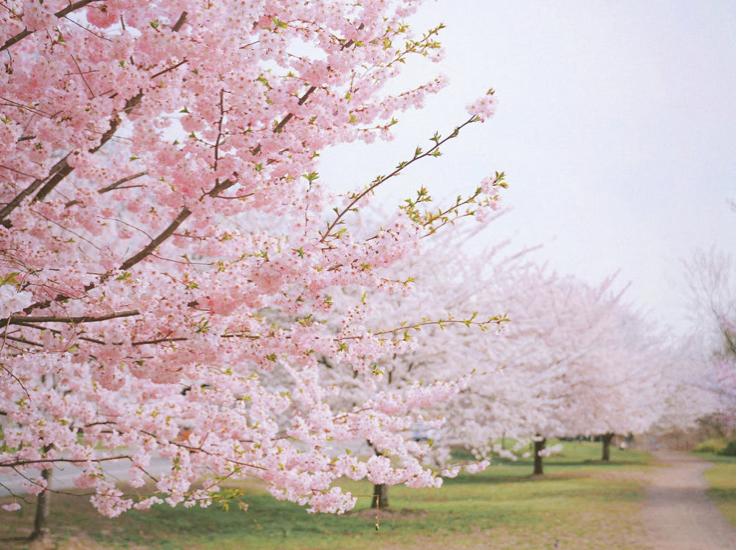 一位妻子的无奈完整版,一个妻子的无奈