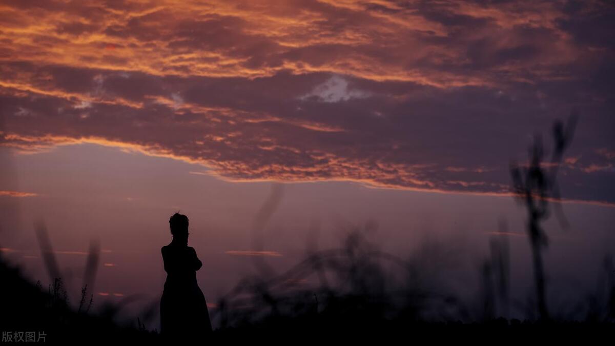 十二星座的金牛座爱吃什么,十二星座金牛座是什么公主