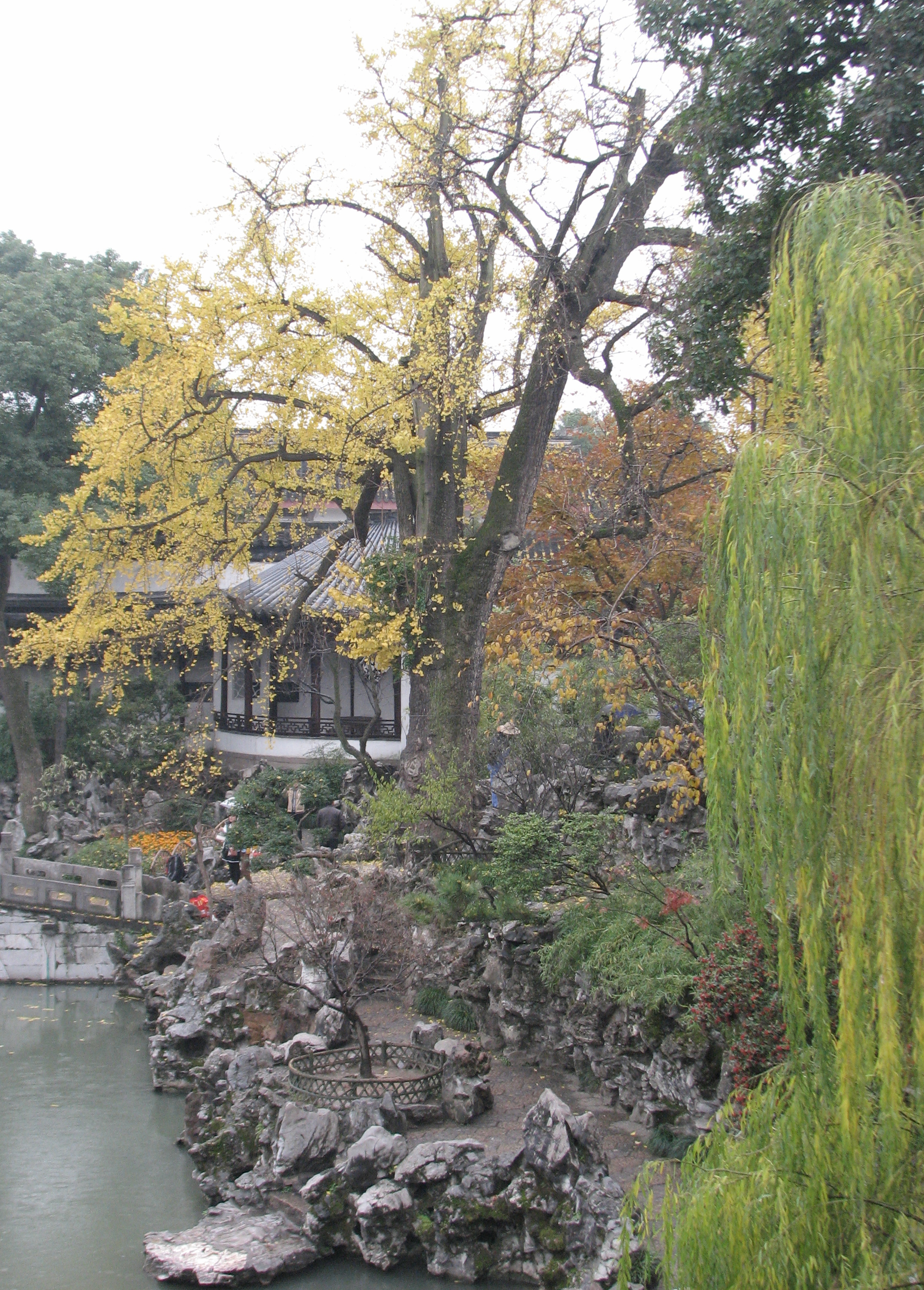 杭州风景的浪漫和苏锡的内敛