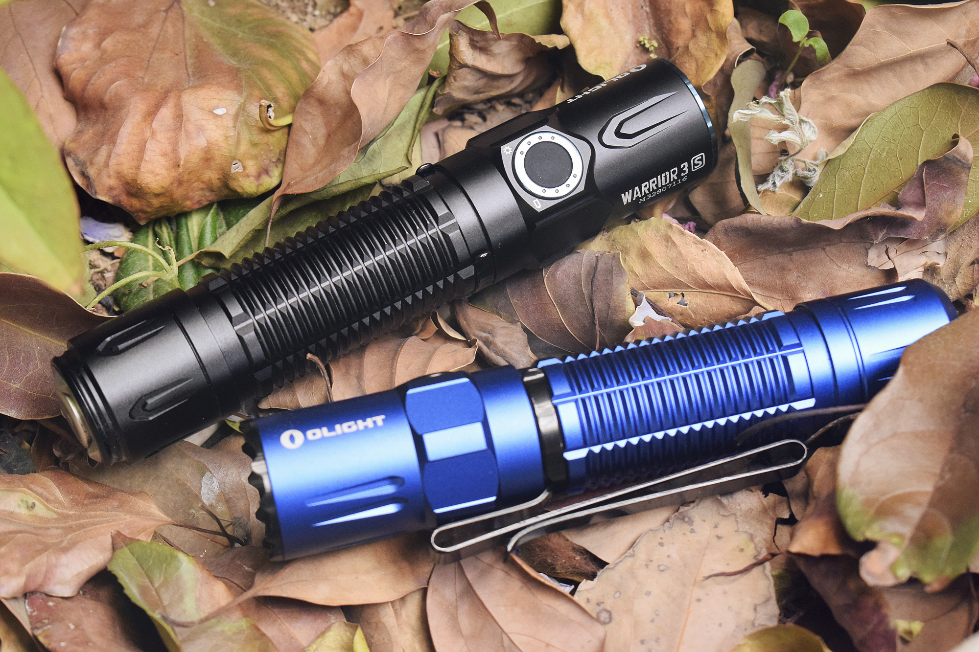 鍌查浄warrior3s,鍌查浄姝﹀＋warrior3s