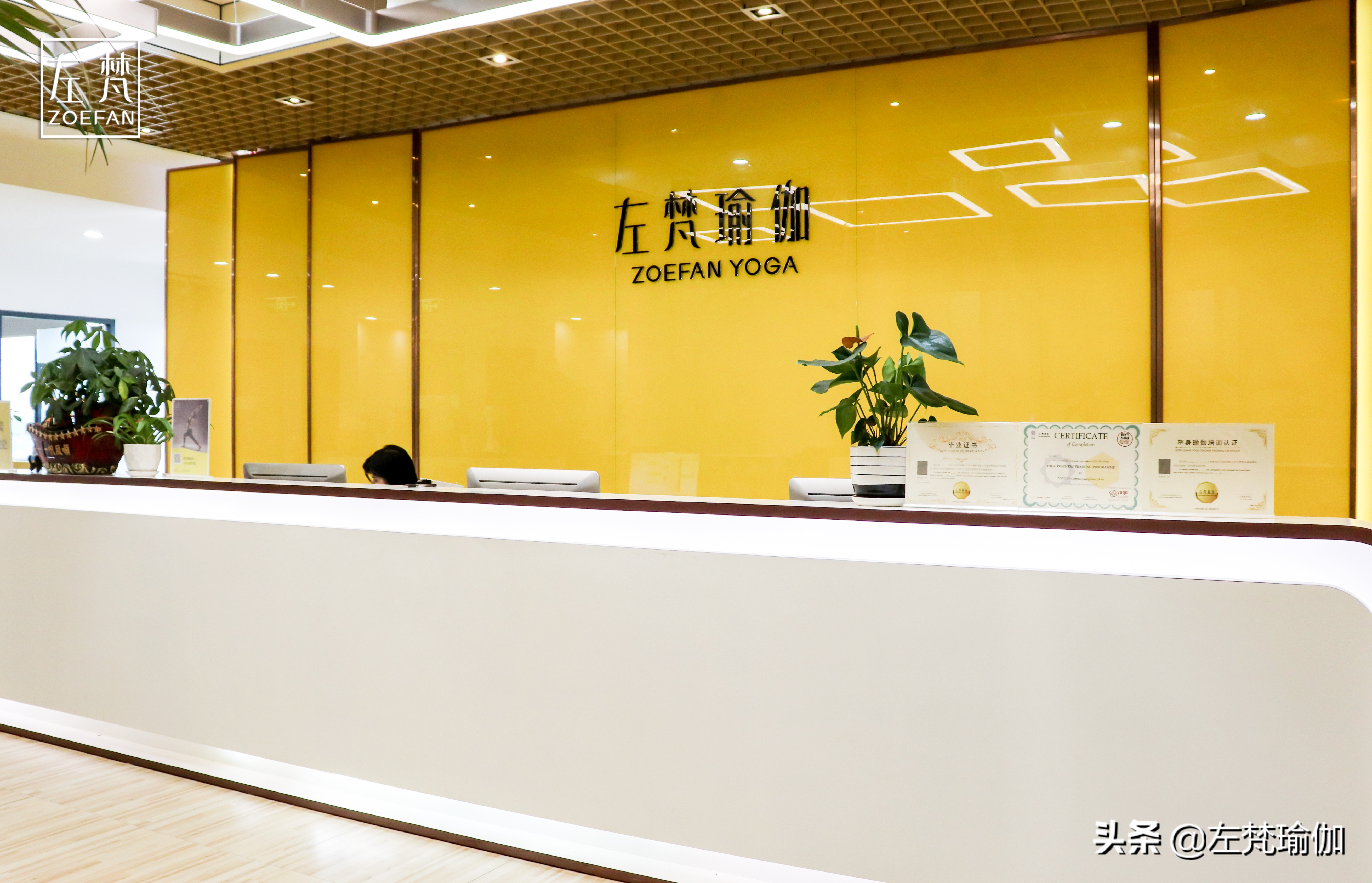 广州左梵瑜伽培训,广州左梵教育