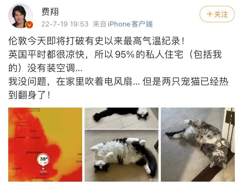 极端高温,灾难的开始…该如何拯救