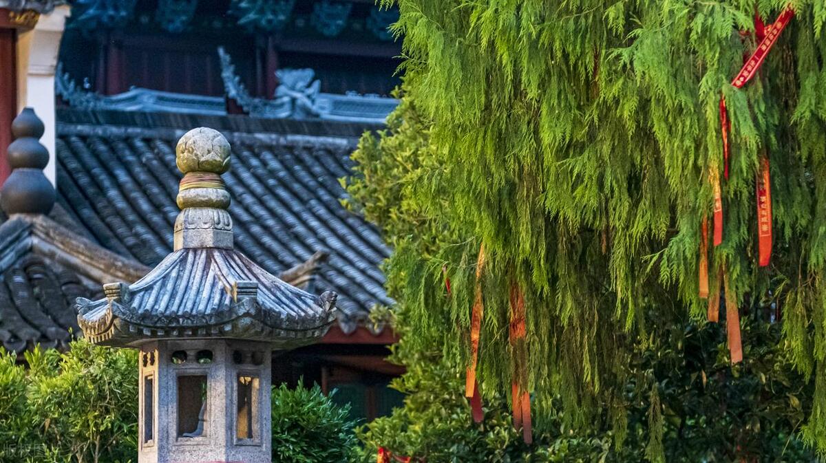 小便稀稀拉拉的泡沫,小便滴沥尿频是什么原因