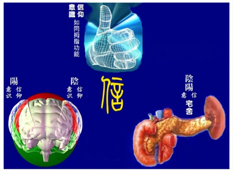 涓崕浼犵粺浜斿痉淇韩鏂囧寲鍏ㄥ,涓崕浼犵粺浜斿痉淇韩鏂囧寲