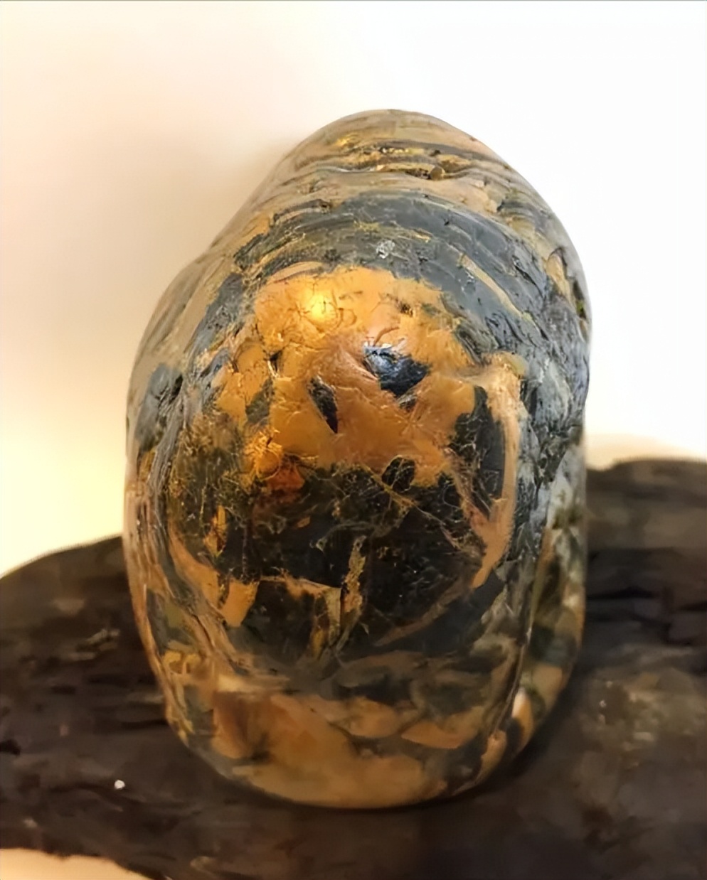 熊猫奇石价值上亿,青岛男子捡到熊猫奇石