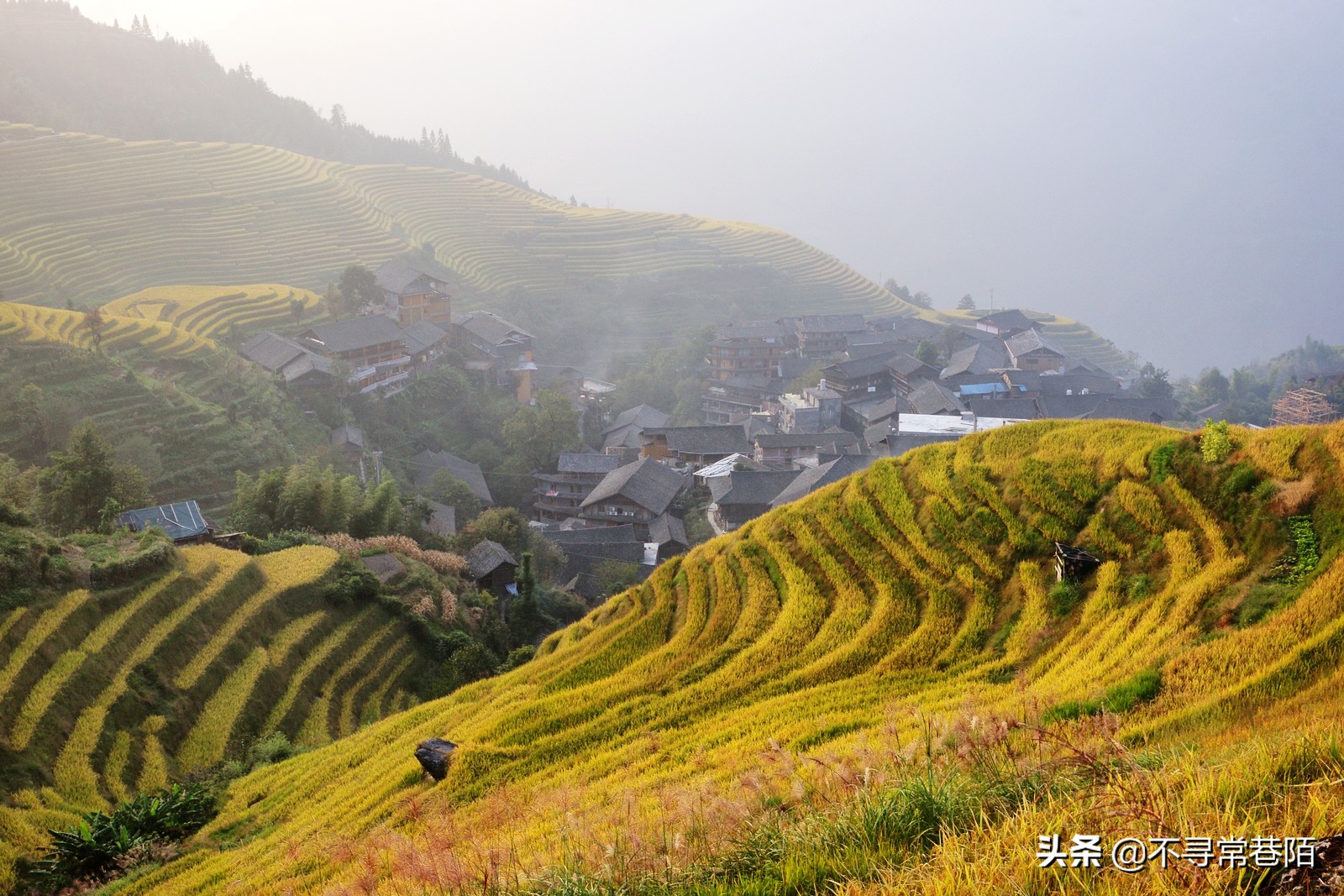 这里有许多历史悠久的古镇,从历史中走来的古镇