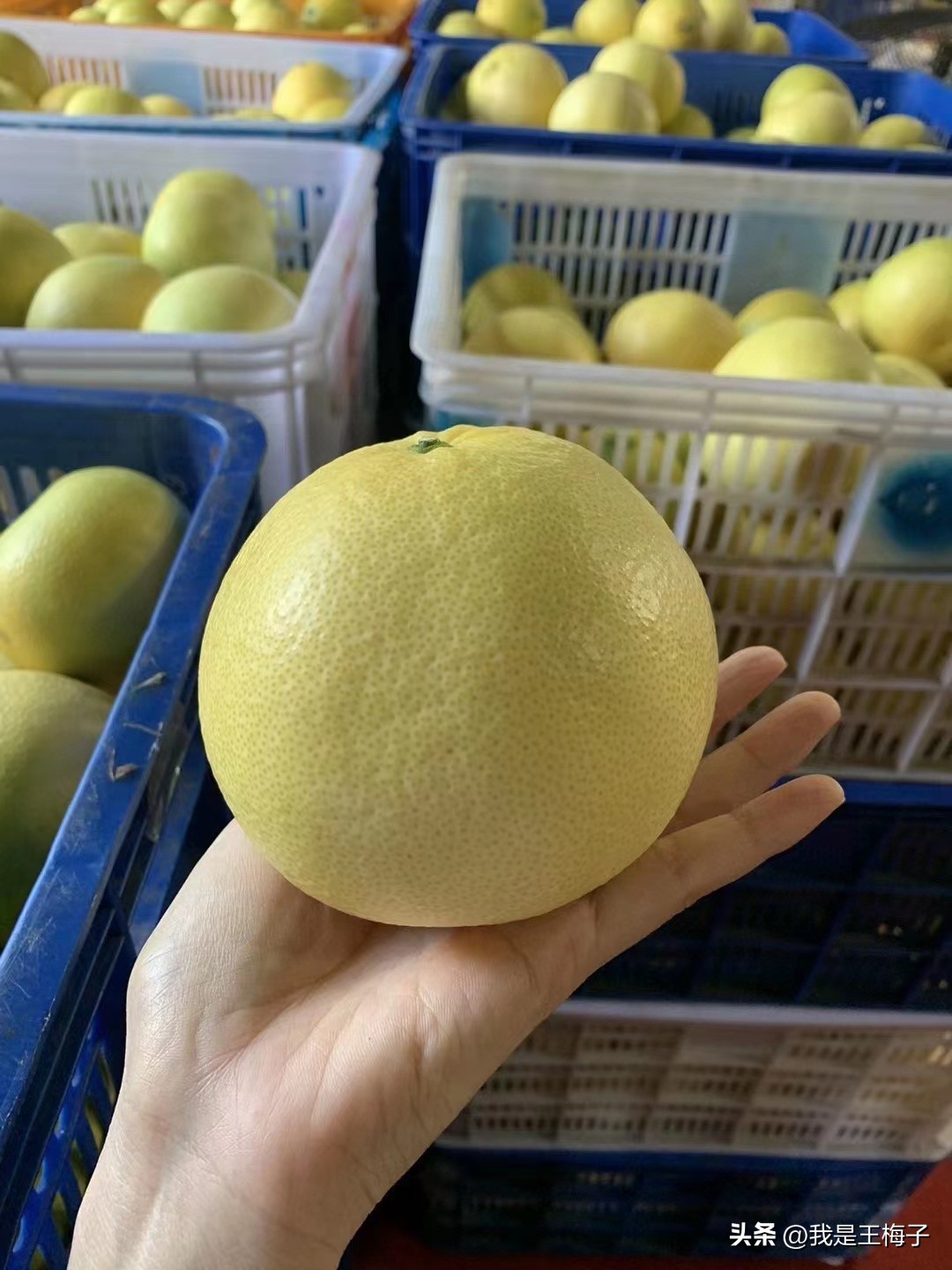 冬季吃什么水果补充维生素,多吃这些应季水果不止补充维生素