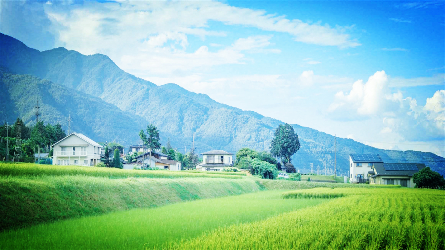 雨过天晴的惬意,雨过天晴很惬意的句子