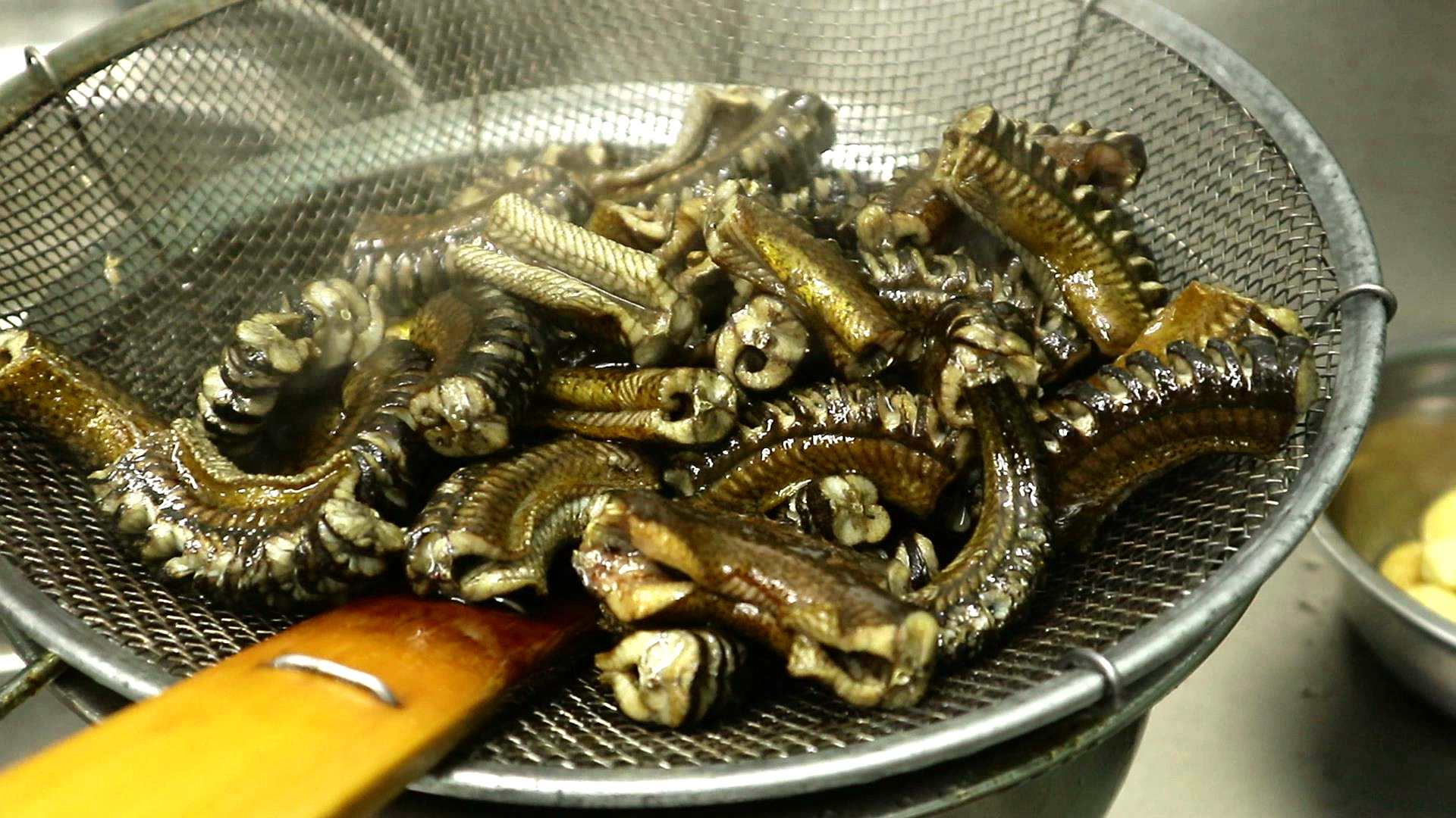 五月五过端午有什么说法吗,端午五黄指的是什么意思