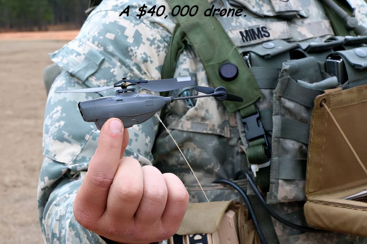 第一个用无人机拍到的鲸鱼,鲸鱼萤火虫