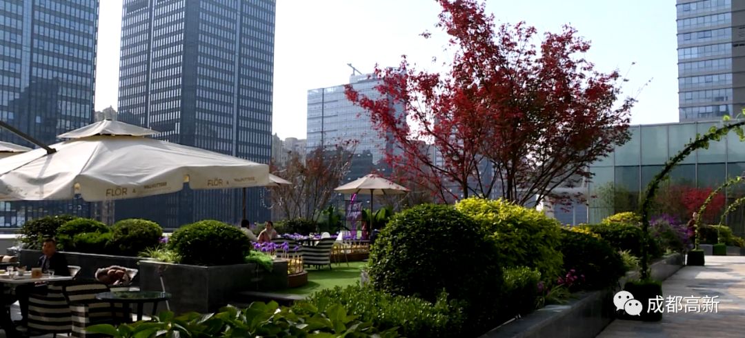 新年逛雄安新区,新春逛街图