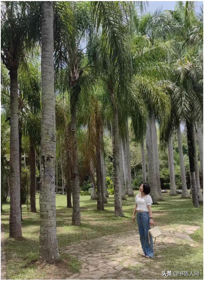 玩转西双版纳攻略,两天玩转西双版纳花费