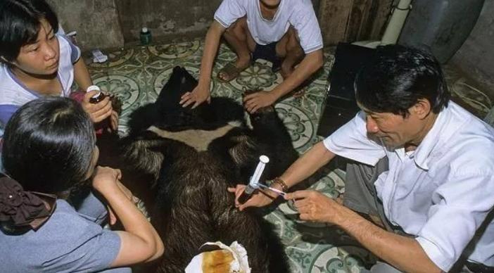 鏉戞皯鎶婄唺褰撶嫍鍏讳簡涓夊勾,琚潙姘戞敹鍏荤殑鐔婂唇