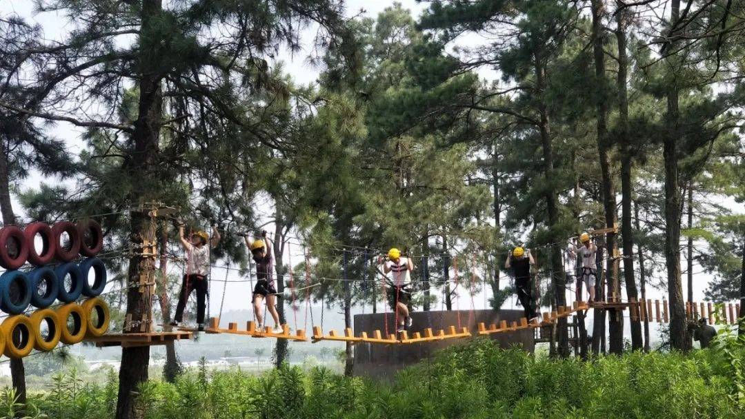 用运动捍卫健康！冬日全民健身，来金坛茅山！