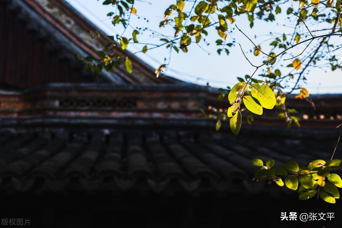 一碗正宗的蕈油面等你来品尝,全上海难觅的蕈油面