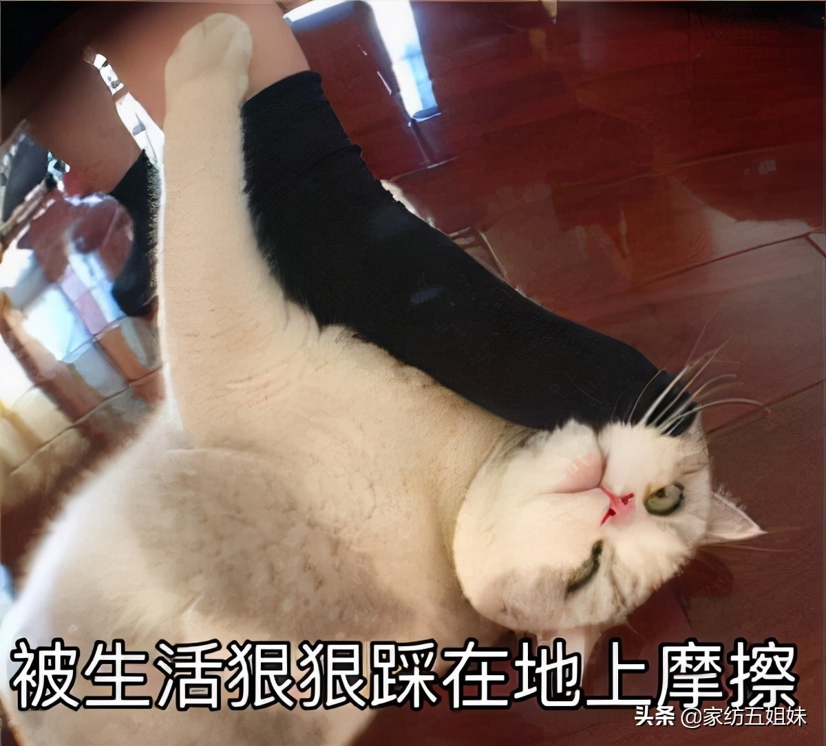 真丝床单起球正常吗,真丝床品铺着好看吗