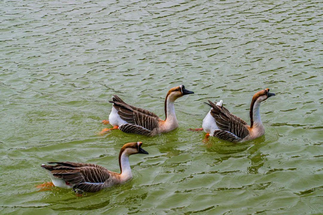 五一北京出游踏青去哪玩比较好呢,丰台夏天旅游攻略
