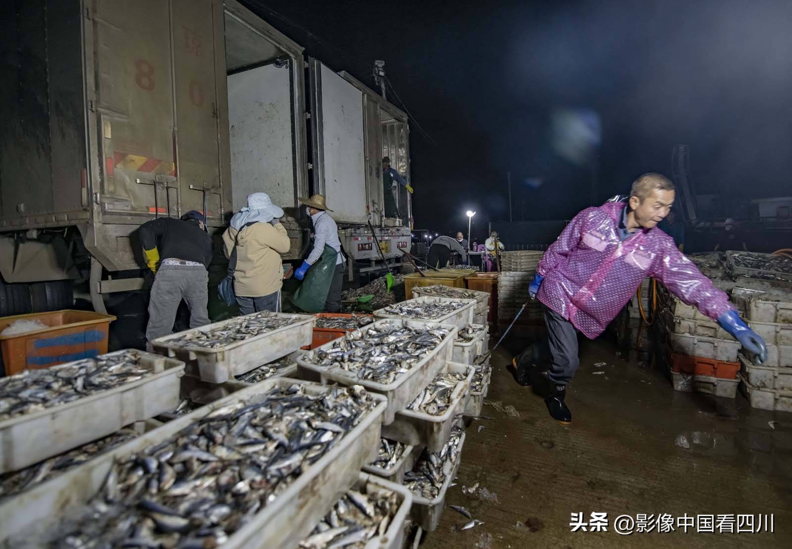 海南陵水新村疍家渔港,海南陵水水产市场