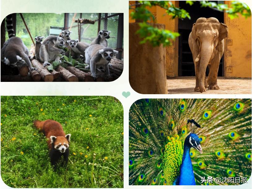 鍐娌堥槼娓哥帺鏀荤暐,娌堥槼娓哥帺涓夊ぉ鏀荤暐