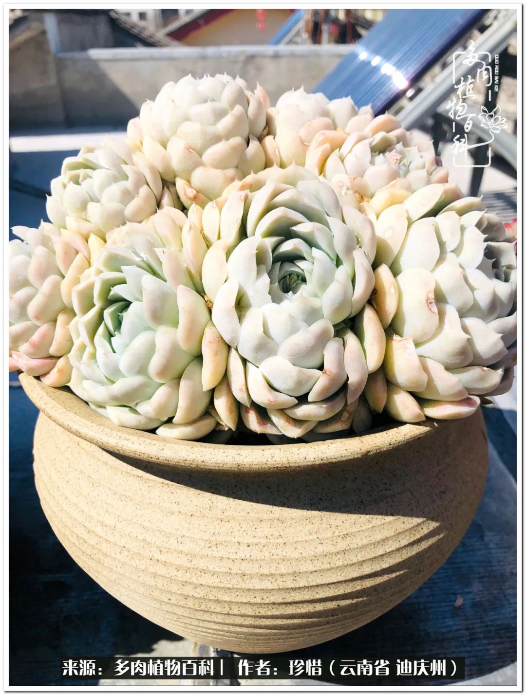 给生命一份淡然还岁月一份从容,给生命留一份洒脱的话