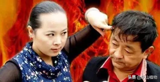 耙耙柑是什么季节口感最好,耙耙柑口感最好的季节