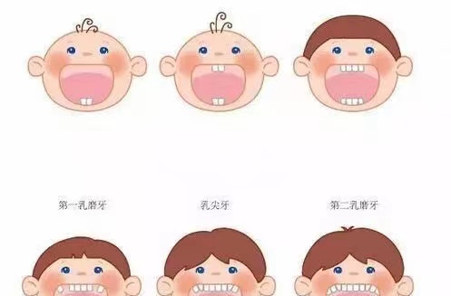 小孩乳牙没松动可以打麻药拔掉吗,乳牙三度松动恒牙出头需要拔掉吗