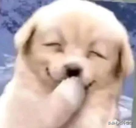 十岁男孩总是爱偷偷摸摸的捏东西,小孩子偷偷摸被子