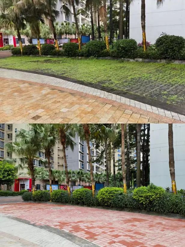 社区党建引领花园式社区建设,社区创建党建引领基层治理示范点