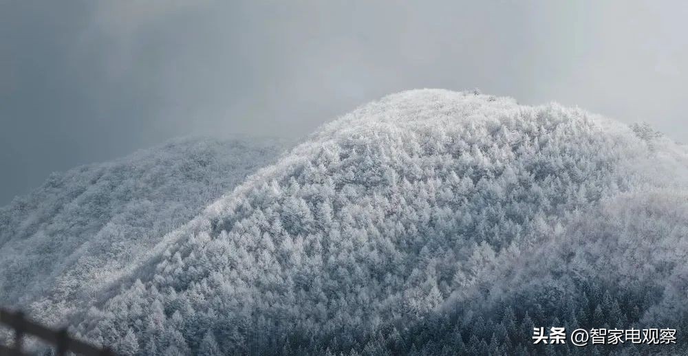 德意电器高德康现在怎么样了,为啥德意油烟机不出名