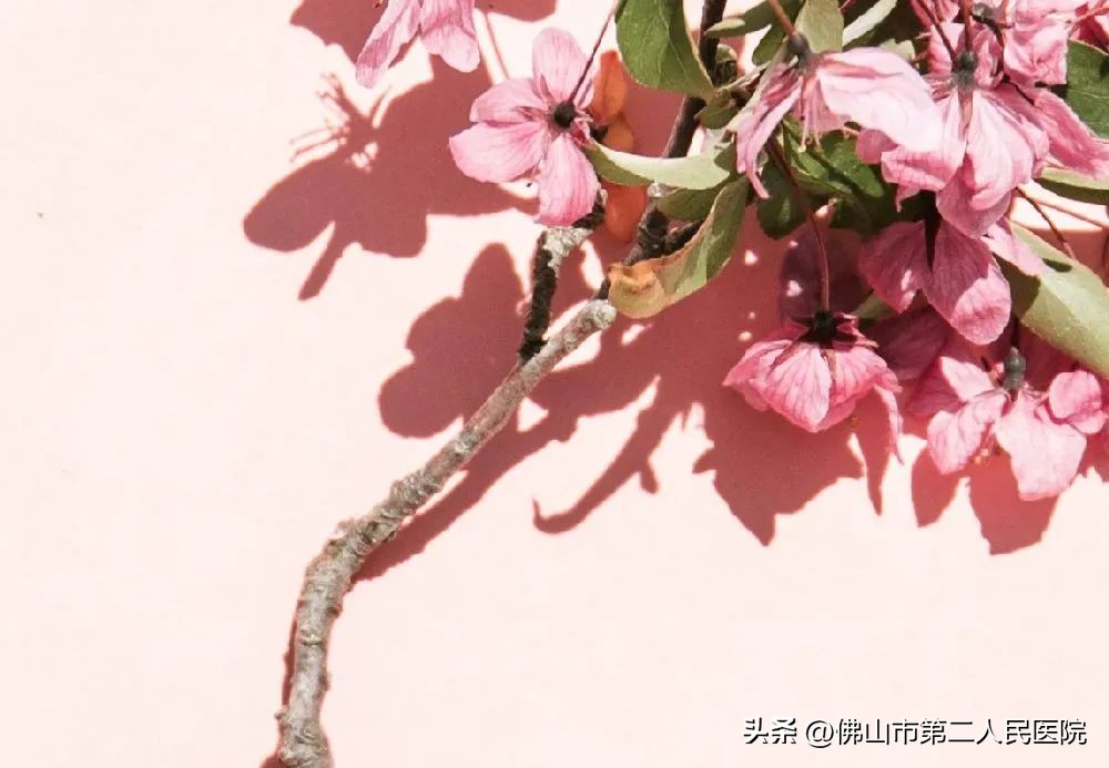 省二院义诊活动名单,好消息惠民义诊活动